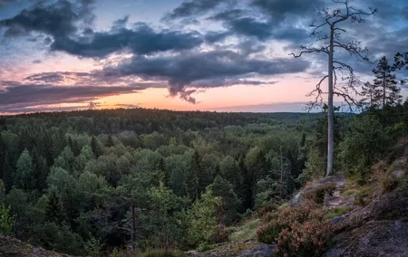 Private Tour of Nuuksio National Park Adventure by Car