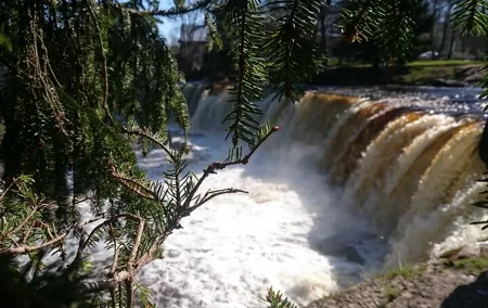 Charming half-day trip over North-Western Estonia