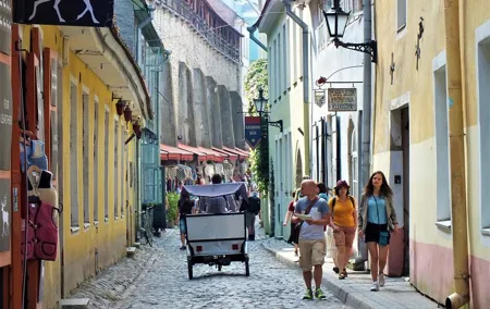 Private Shore Excursion: Tallinn Old Town Walking Tour with Round-Trip Transfer
