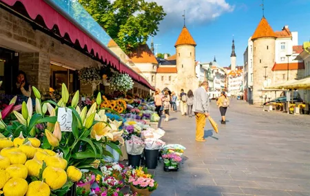 Best of Tallinn Private Tour
