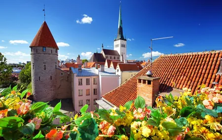 Old Tallinn with Kadriorg & Pirita