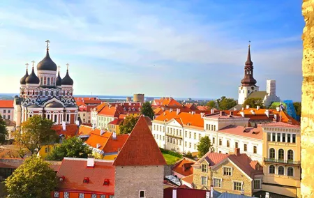 Half-Day Private Accessible City Tour in Tallinn