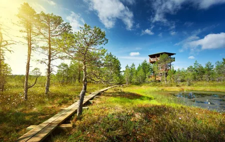 Private Day Tour to Lahemaa National Park from Tallinn
