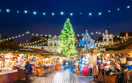 Enchanted Tallinn: A Festive Christmas Private Walk