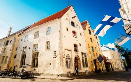 Tallinn Highlights and Marzipan Painting Masterclass