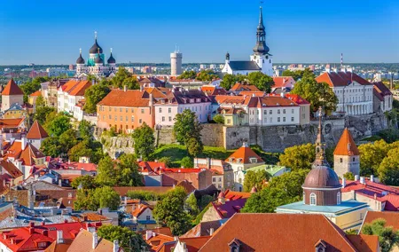 Private walking sightseeing tour in Tallinn