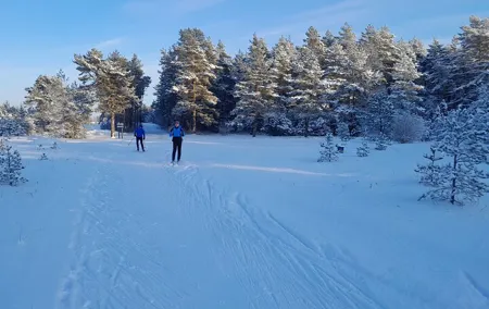 From Tallinn Learn to Ski in Estonia Cross Country Skiing