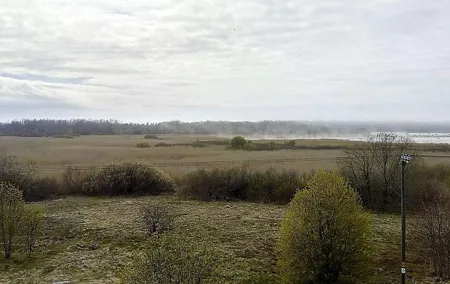 Tour to the Paljassaare Special Protection Area