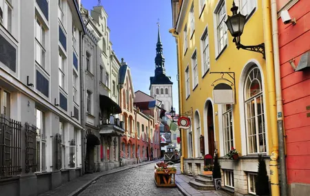 Private Shore Excursion: All-Highlights of Tallinn (Walking and Driving)