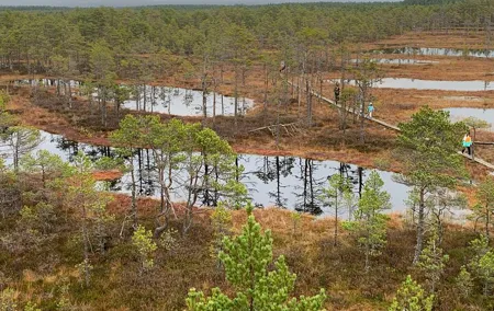 Lahemaa National Park in a Day Tour
