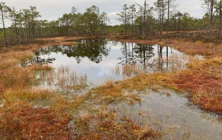 Estonia Mystery and Nature Tour