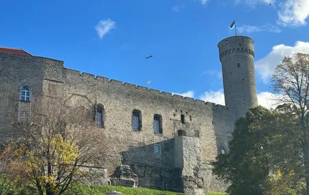 Tailored Walking Tour of Tallinn's Old Town and Kalamaja
