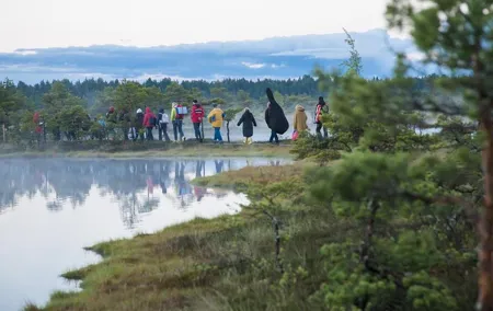 Day Tour to Magical Bog Shoe Walking tour
