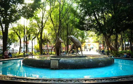 Private City Tour in Frida Kahlo, Coyoacan, and Xochimilco