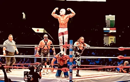 Tour Lucha Libre ,Tacos, Tequila and Mezcal in Mexico City