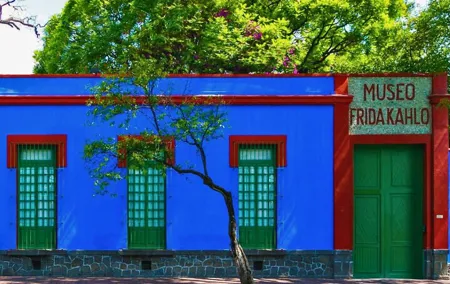 Ticket to the Frida Kahlo Museum