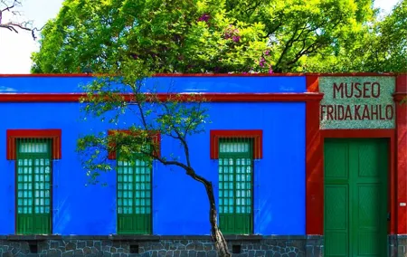 Admission Tickets to Anahuacalli Museum and Frida Kahlo