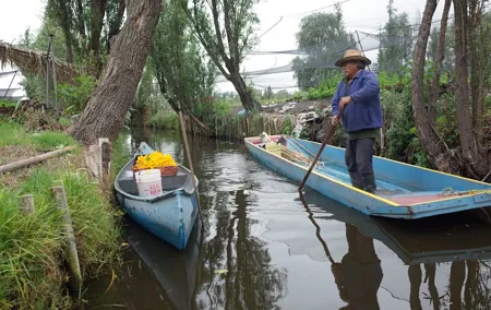 The City Green Exploring the Urban Eco Reserve of Xochimilco