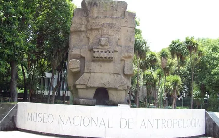 Anthropology Museum Private Experience Walking Tour