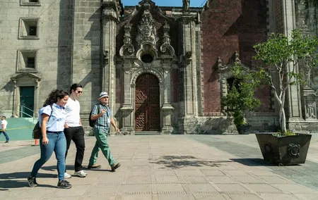 Mexico City: Roma & Condesa Private & Personalized Walking Tour