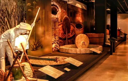 Tequila & Mezcal Exclusive Tour