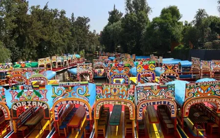 Private or Shared Tour Xochimilco Coyoacán and Frida Kahlo Museum