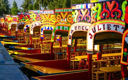 Xochimilco Tour: Coyoacan and Frida Kahlo Museum in Mexico City