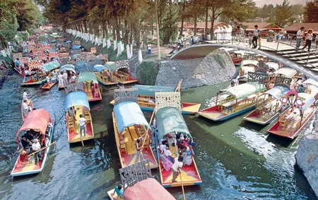 Small Group: Discover Xochimilco, Coyoacán, Frida Kahlo Museum and House