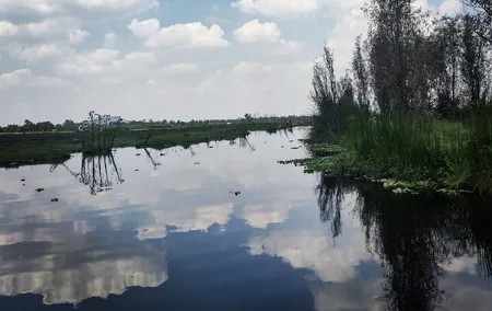 Pre-Hispanic Xochimilco and ajolotario. Private Ecotour.