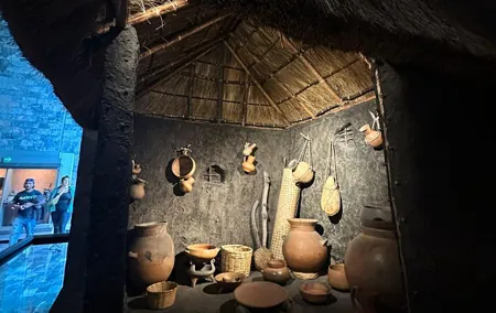 Guided Tour of the National Museum of Anthropology