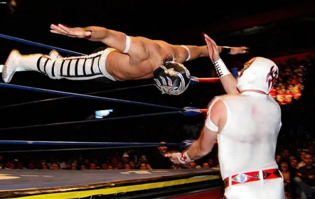 Mexico City: Lucha Libre wrestling show tickets