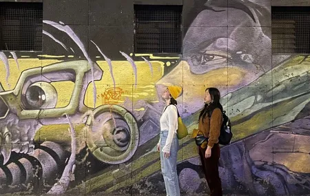 Mexico City Private Street Art Tour