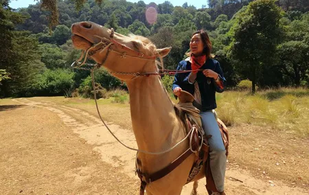 Horseback Riding in the Forest and Breakfast in Cabin