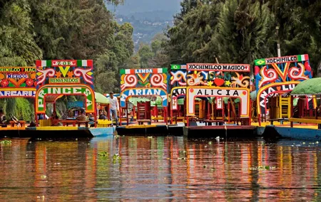 Xochimilco and Coyoacan and Frida Kahlo Museum optional