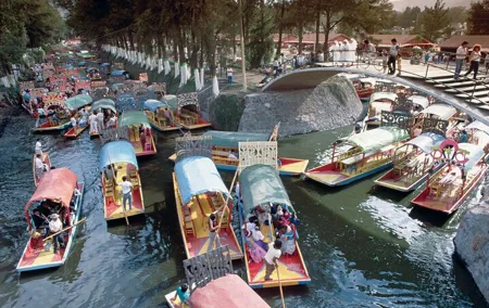 Private Tour: Xochimilco Coyoacan and Frida Kahlo's Museum and house