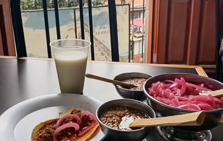 Taco and History Tour in the All Inclusive Historic Center