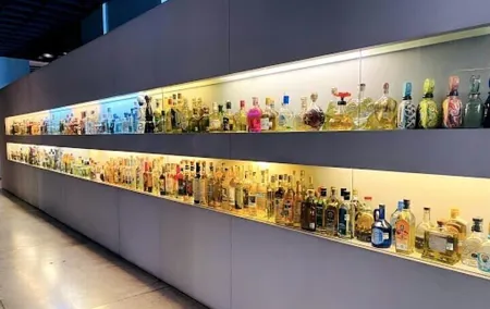 Guided Tour to the Tequila and Mezcal Museum