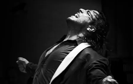 Flamenco Live Show and Dinner in Mexico City