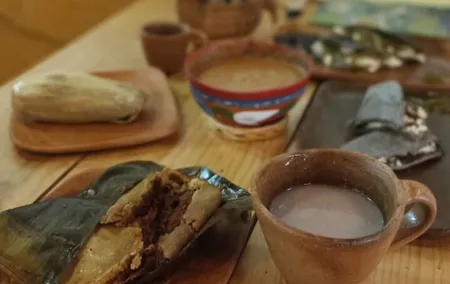 Mexican Food Gastronomic Tour - Mexico City