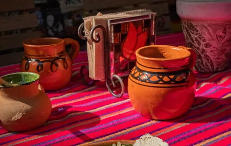 Uncover The Heart of México in Xochimilco