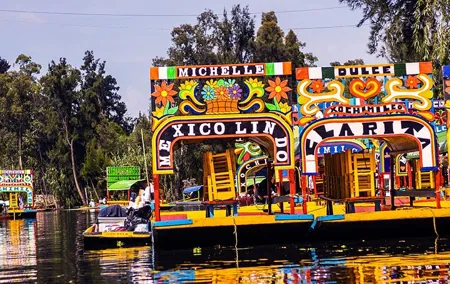 Mexico City: Xochimilco, Coyoacán and University City Tour