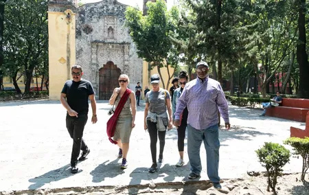 Mexico City: Book A Local Host