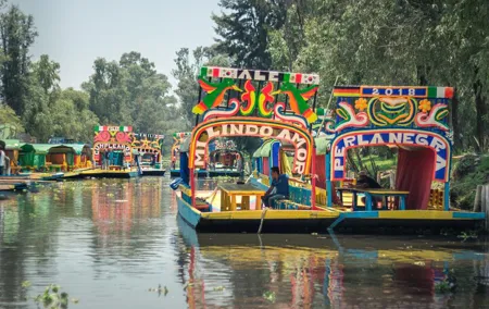 Tour of Xochimilco and Coyoacán, leaving from Mexico City