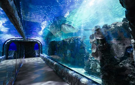 Inbursa Aquarium ticket