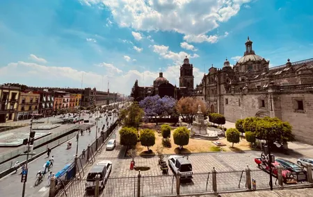 Mexico City Center Private Walking Tour