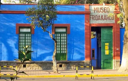 Private Tour to the Frida Kahlo Museum