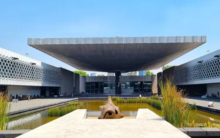 Anthropology Museum Early Access Tour