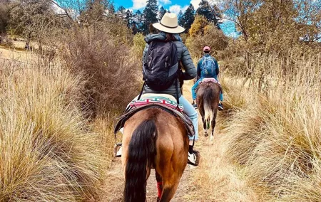 Horseback, Culture & Mexican Flavors Experience