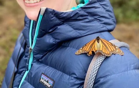 Monarch Butterfly Tour Mexico: Sierra Chuincua and Magic Town