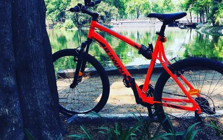 Bike Tour in Mexico City